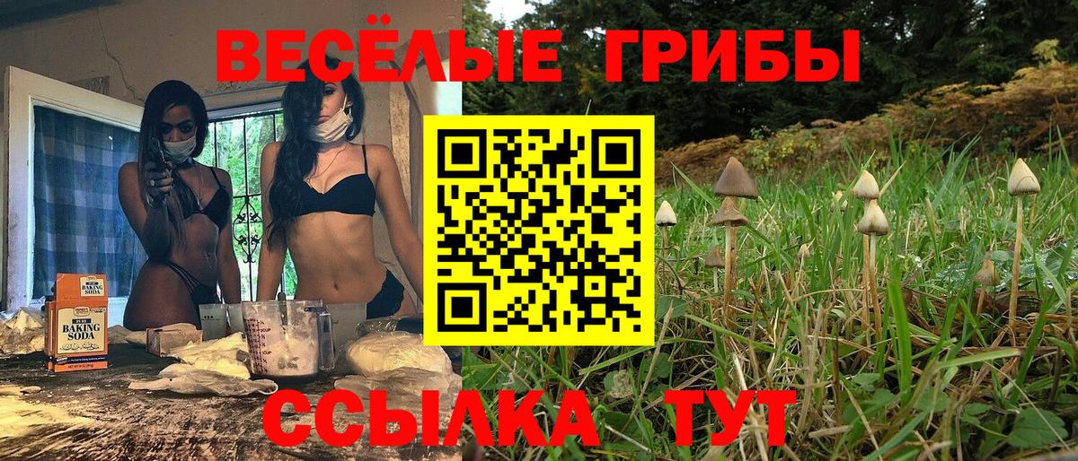 Псилоцибиновые грибы Magic Shrooms  Вход с VPN  закладка  Ртищево 